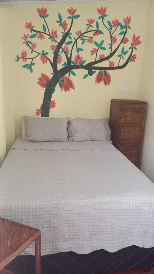 Hostel Sol Da Barra Salvador Eksteriør bilde