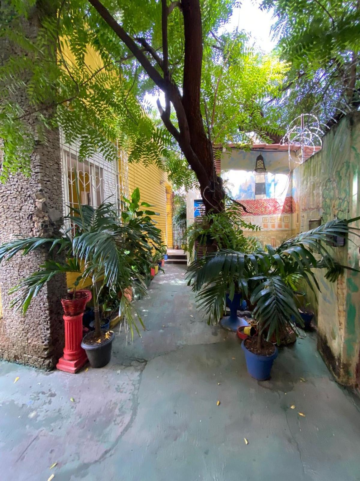 Hostel Sol Da Barra Salvador Eksteriør bilde